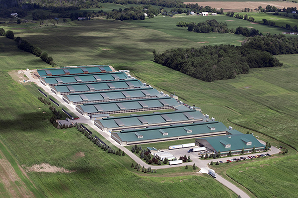 Shenyang Concrete Jungle Co.,Ltd